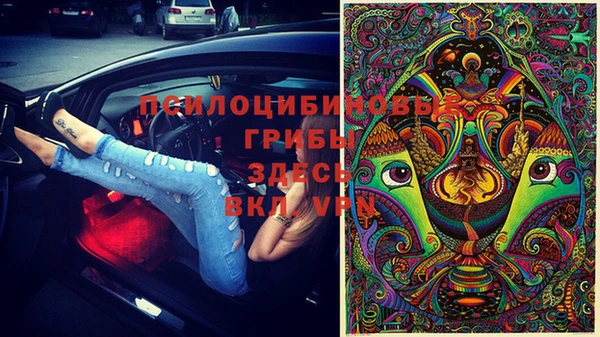 крисы Алзамай