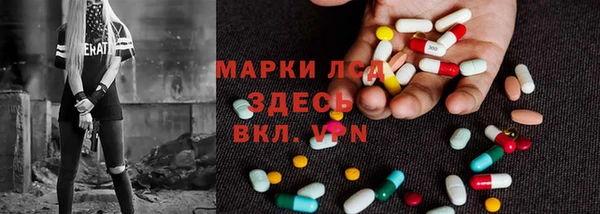 крисы Алзамай