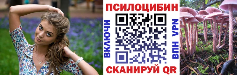 дарнет шоп  Нефтекумск  Галлюциногенные грибы ЛСД 
