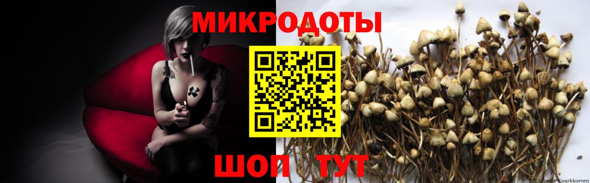 Нефтекумск  Псилоцибиновые грибы Cubensis  Вход с VPN 